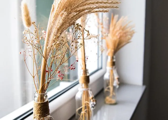 Apartamento Wk Colónia