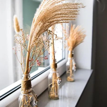 Apartmán Wk Kolín nad Rýnem